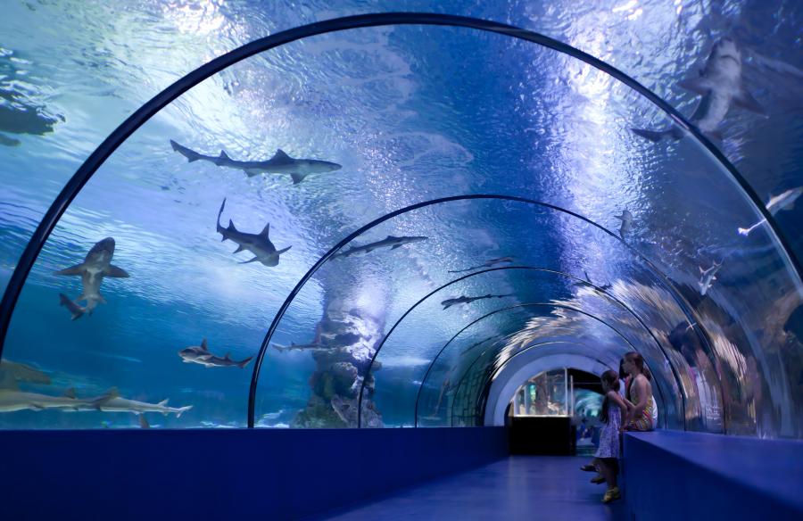 underwater sealant