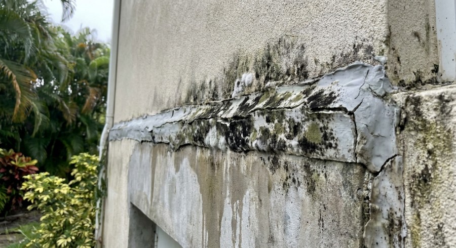 Mold growth on failed sealant